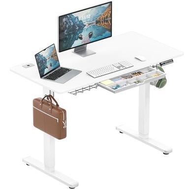 SHW 48-Inch Electric Standing Desk | Mubboo