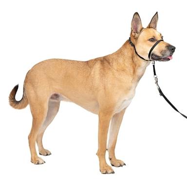 PetSafe Gentle Leader No-Pull Dog Headcollar | Mubboo
