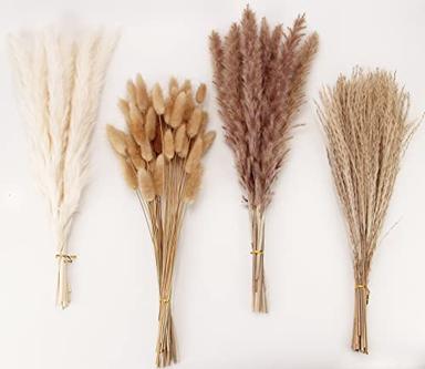 ANPROOR Dried Pampas Grass Decor Mix (100 Stems) | Mubboo