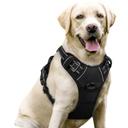 rabbitgoo Dog Harness No Pull | Mubboo