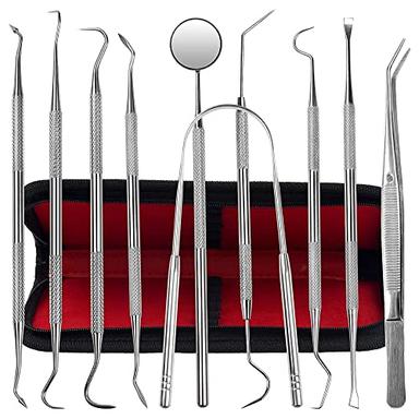 KuanStore 10-Pack Stainless Steel Dental Tools Kit | Mubboo