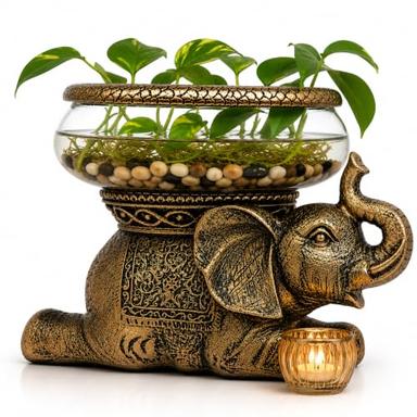 Good Luck Elephant Terrarium Bowl, Antique Gold | Mubboo