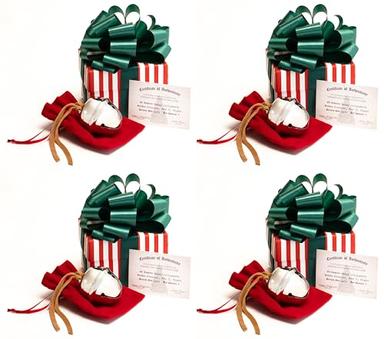 Polar Express Sleigh Bell Gift Set (4 Pack)