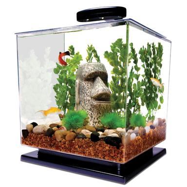 Tetra 3 Gallon Fish Tank Aquarium Starter Kit with Pedestal Base