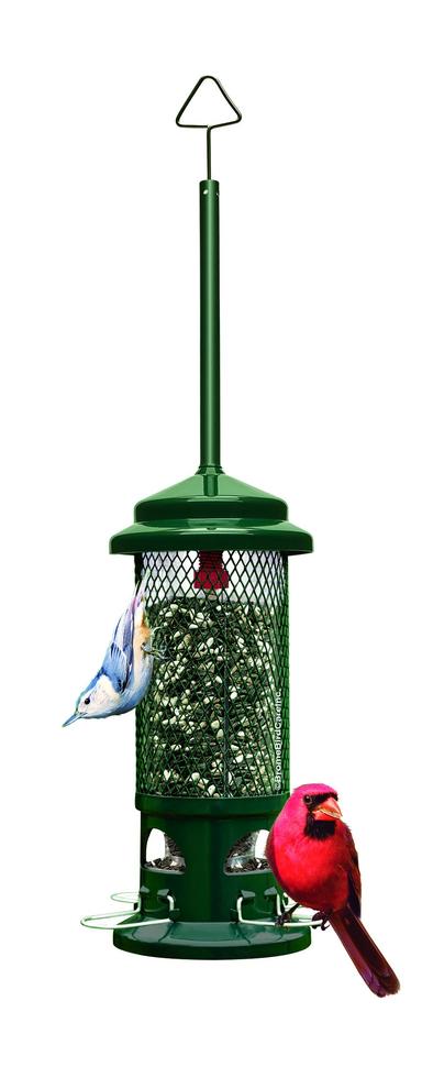 Brome Squirrel Buster Standard