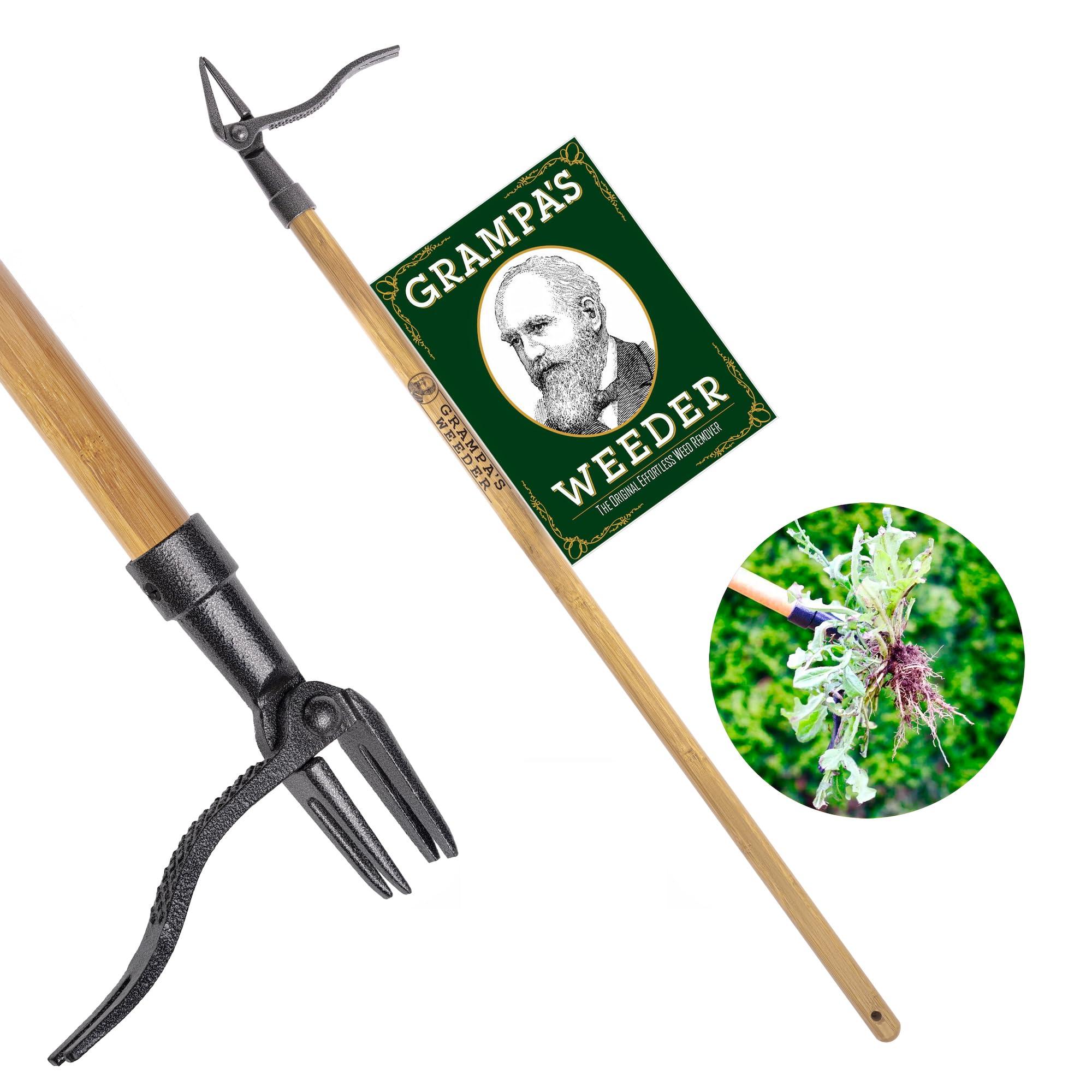 Grampa's Weeder stand-up weed puller with bamboo handle and 4-claw steel head