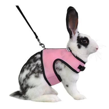 Niteangel Adjustable Soft Harness with Elastic Leash for Rabbits