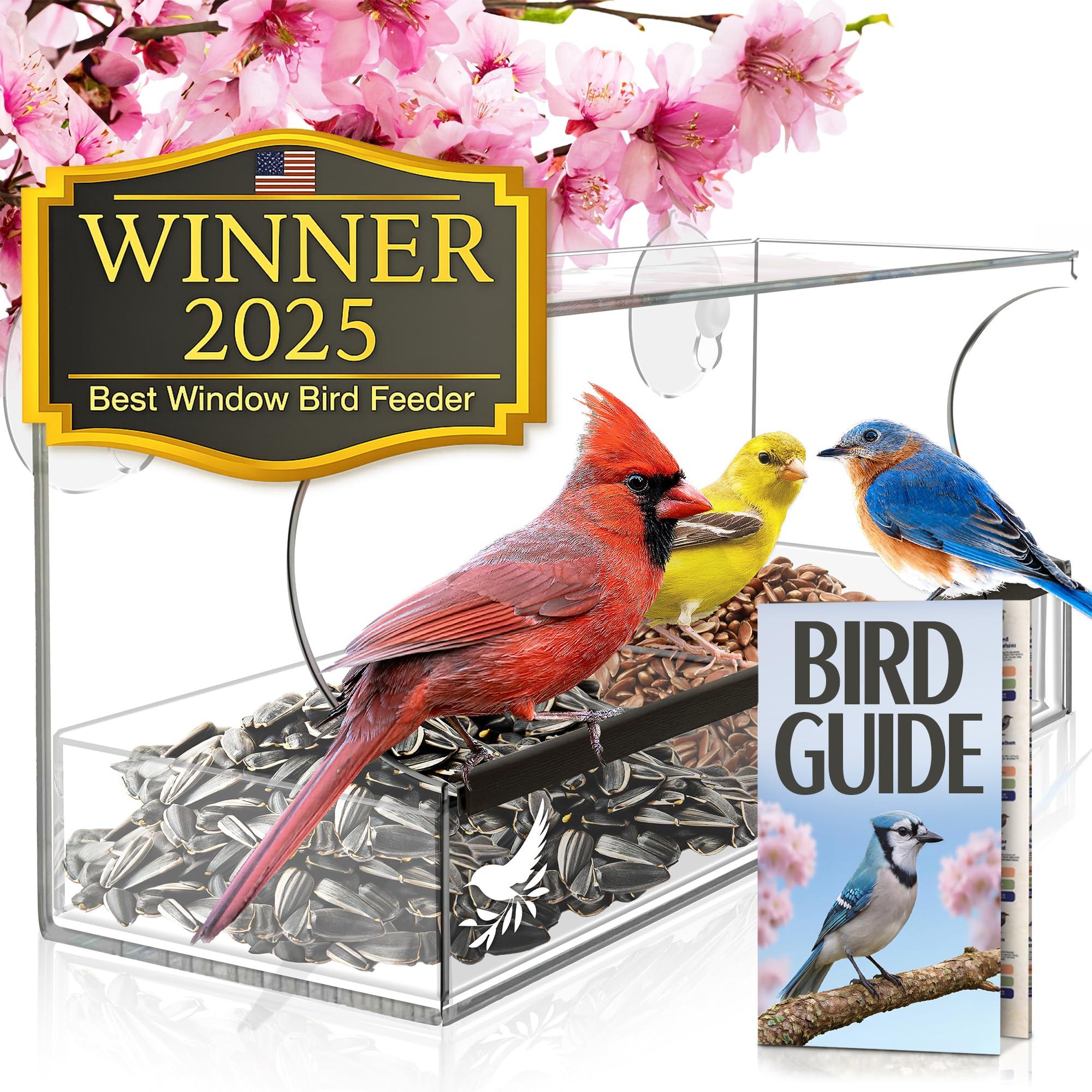 Nature's Hangout window bird feeder with clear acrylic design and suction cups