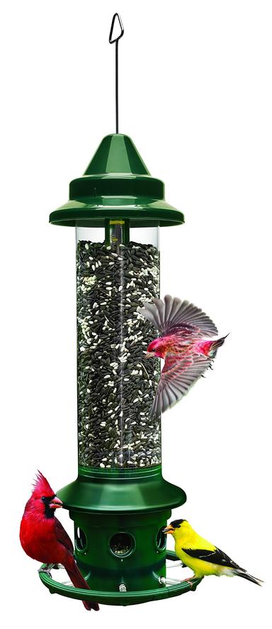 Brome Squirrel Buster Plus