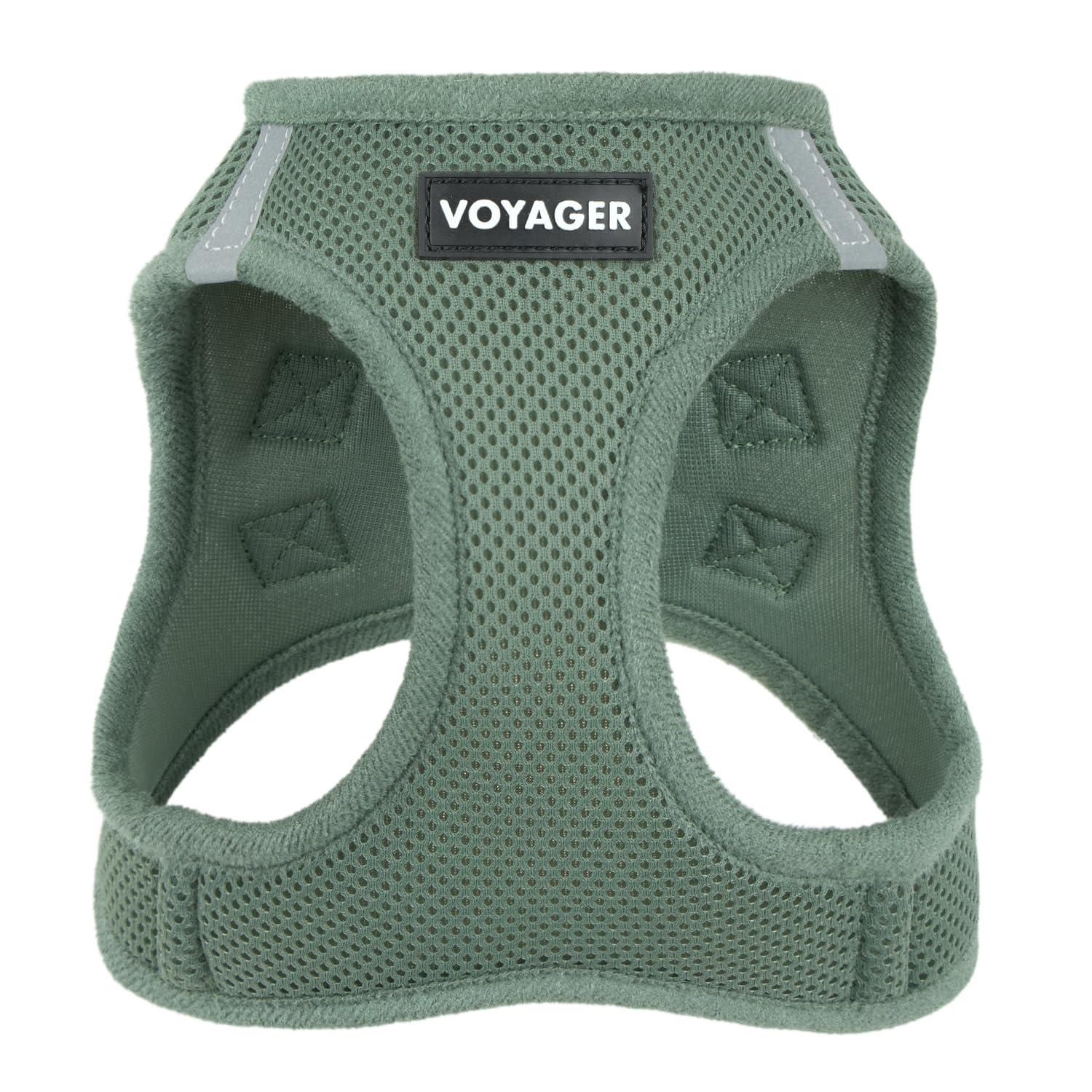 Best Pet Supplies Voyager Step-in Air Harness in Moss Green on a small dog