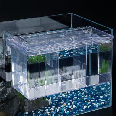 Pawfly Acrylic Breeder Box