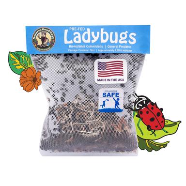 Natures Good Guys 1500 Live Ladybugs