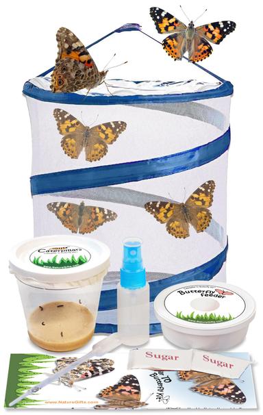 Nature Gift Store Complete Butterfly Kit with 5 Caterpillars