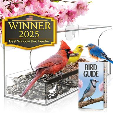 Nature's Hangout Window Bird Feeder