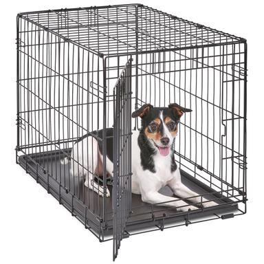 MidWest Homes for Pets 30-Inch iCrate