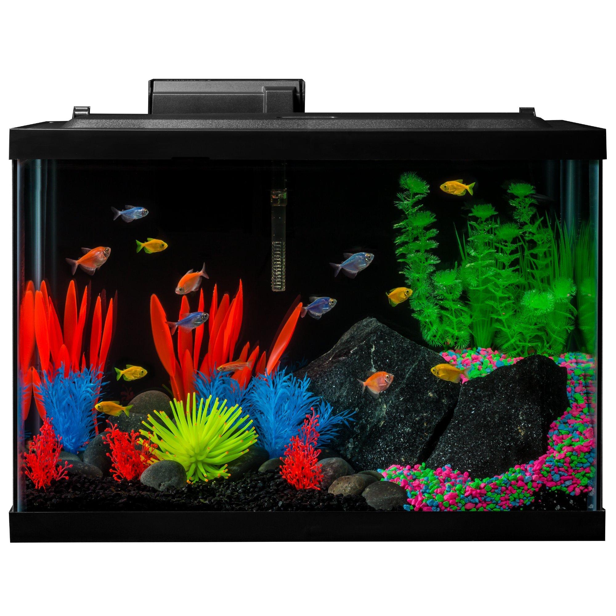 GloFish 20 Gallon Aquarium Kit with LED lights and decor