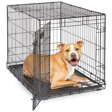 MidWest Homes for Pets 36-Inch iCrate
