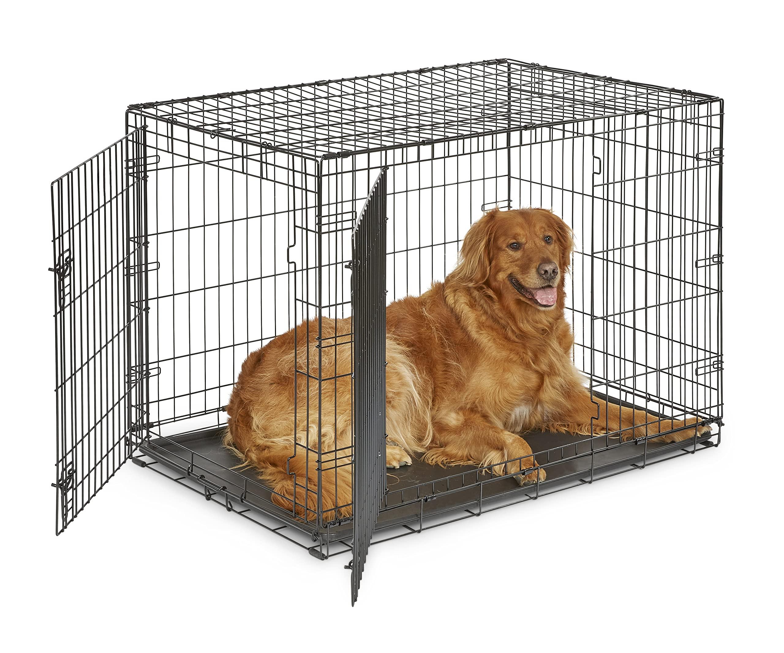 Midwest Homes for Pets 42-Inch Dog Crate in a home