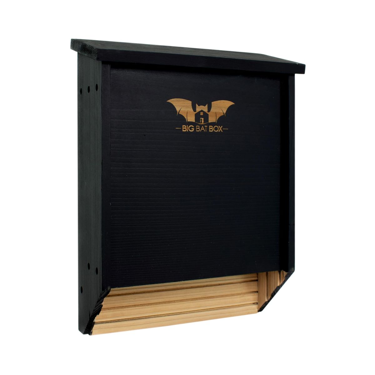 WildYard BIGBATBOX bat house mounted on a pole