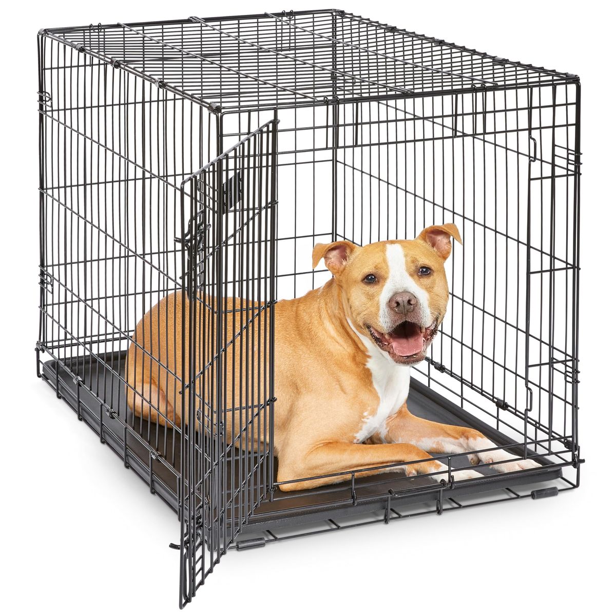 MidWest Homes for Pets 36-Inch iCrate for medium-large dogs | Mubboo