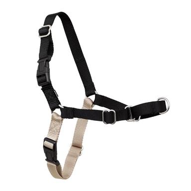 PetSafe Easy Walk No-Pull Harness, Medium | Mubboo