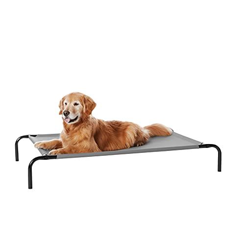 Amazon Basics elevated breathable dog bed product photo