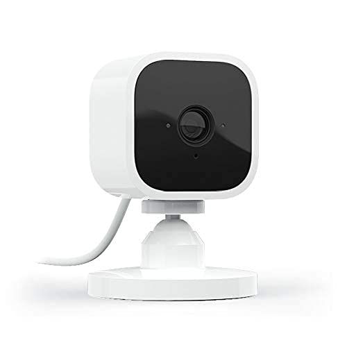 Blink Mini pet camera monitoring a dog