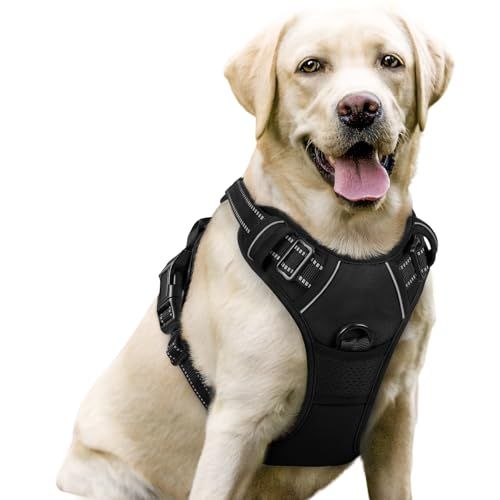 rabbitgoo dual-clip no-pull dog harness product photo