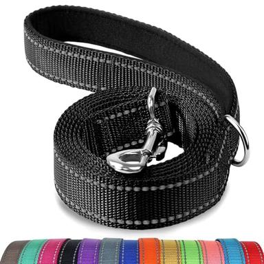 Joytale 6-Foot Double-Sided Reflective Dog Leash | Mubboo