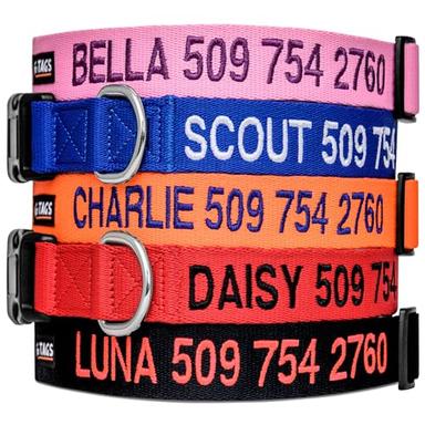 GoTags Personalized Dog Collar, Small/Medium/Large | Mubboo