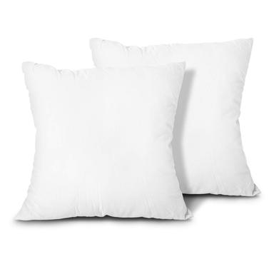 EDOW 18x18 Pillow Inserts (Set of 2)