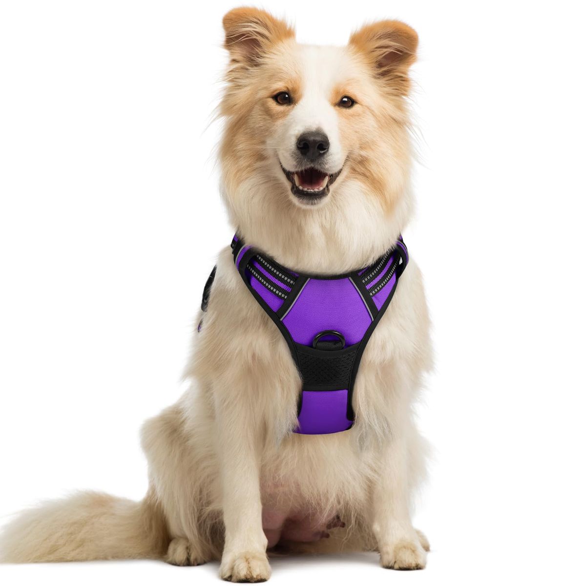 rabbitgoo No-Pull Dog Harness in blue on a white background