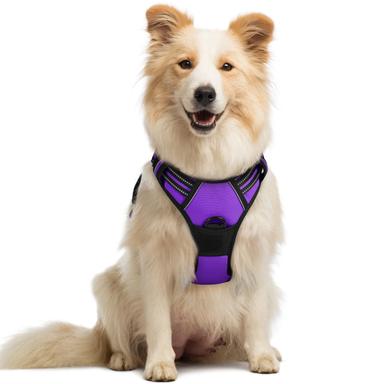 rabbitgoo No-Pull Dog Harness