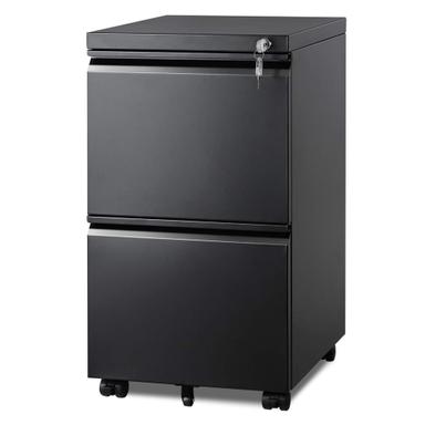 DEVAISE 2 Drawer Metal File Cabinet (Fully Assembled)