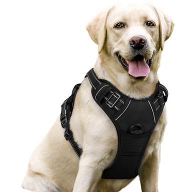 rabbitgoo No Pull Dog Harness