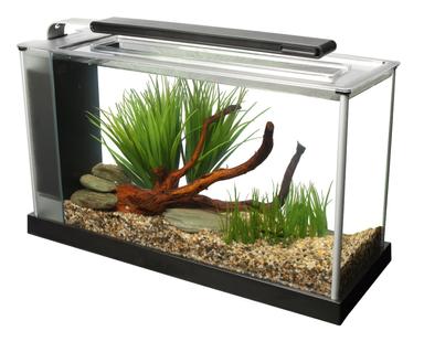 Fluval SPEC 5‑Gallon