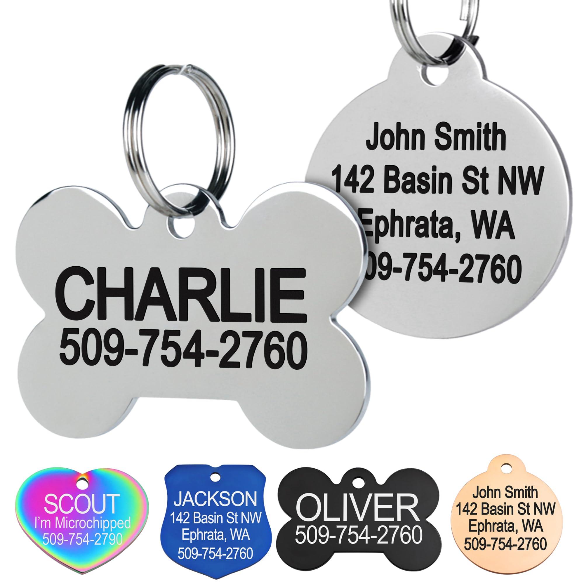 GoTags Stainless Steel Pet ID Tag in bone shape on a collar