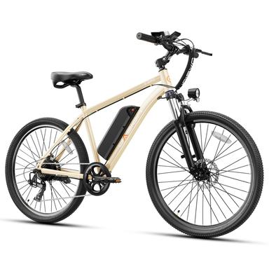 Jasion EB5 Electric Bike
