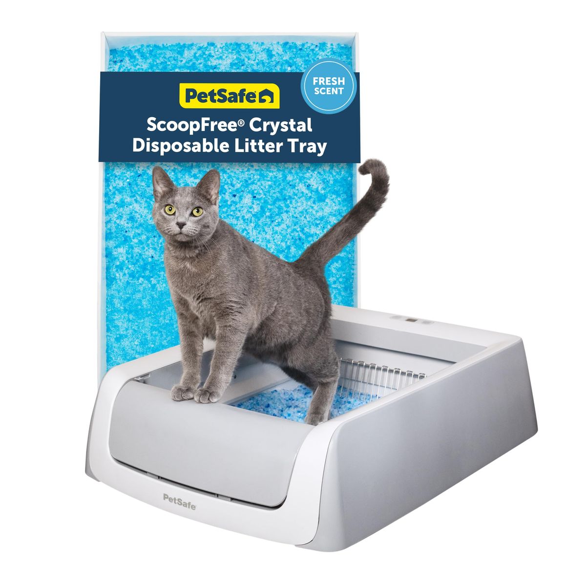 Automatic self-cleaning cat litter box in a home | Mubboo