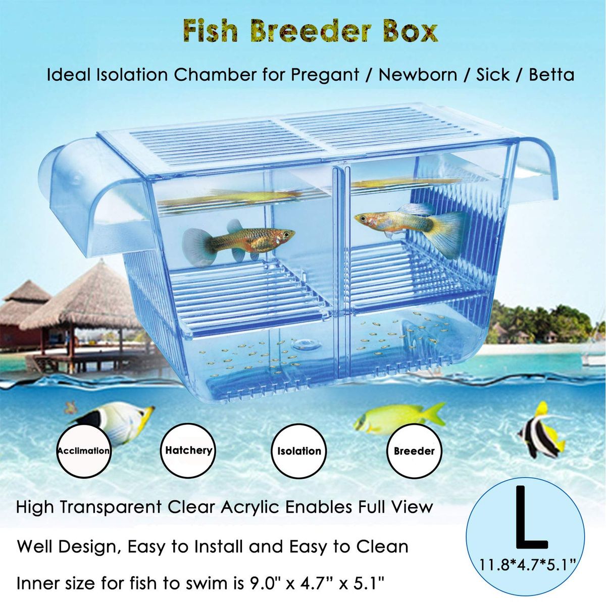capetsma Fish Breeder Box floating in aquarium with removable grating and mesh divider