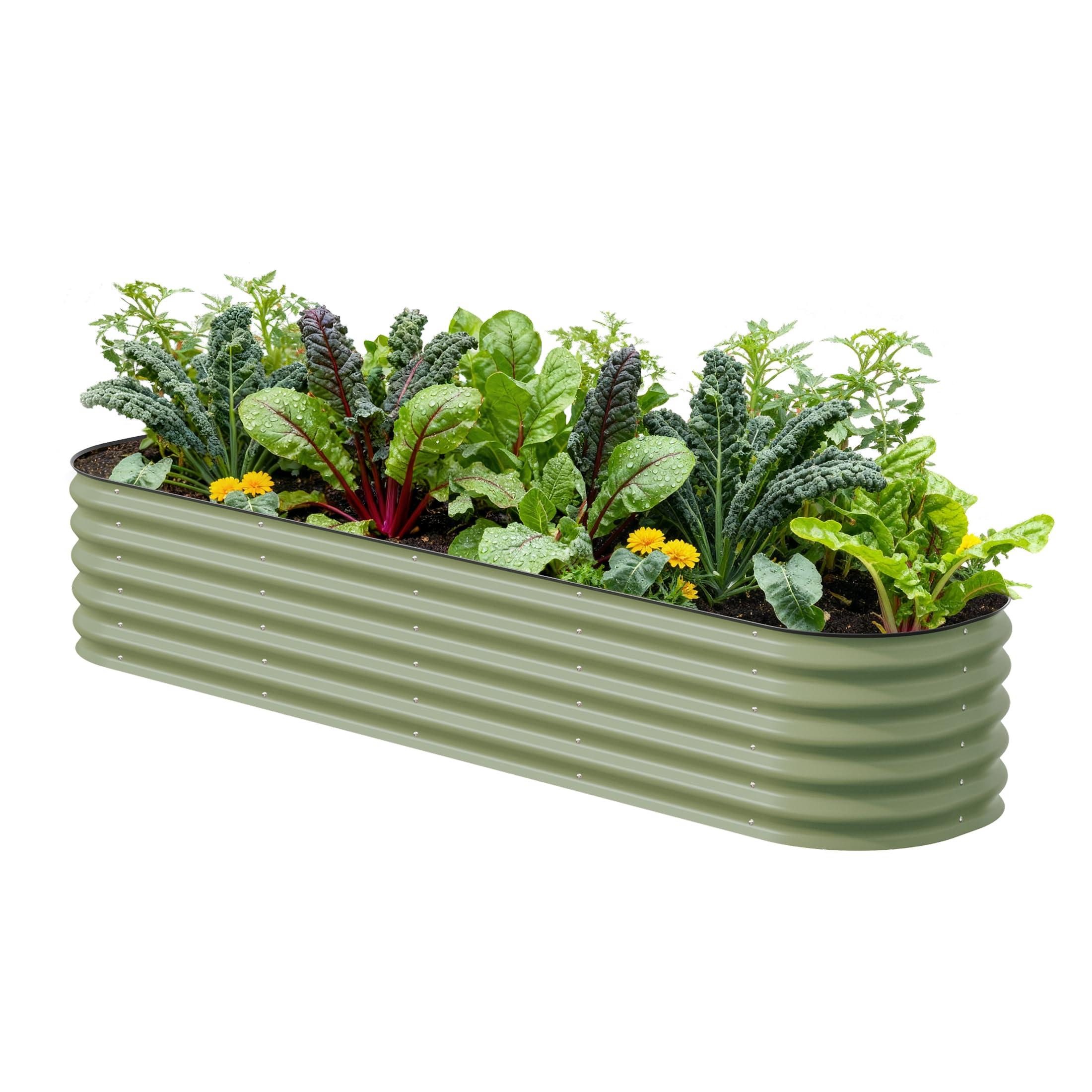 A sunny American backyard with galvanized metal and wood raised garden beds full of tomatoes, herbs, and leafy greens — the peak spring planting season setup that millions of US gardeners build every year between the last frost and Memorial Day.