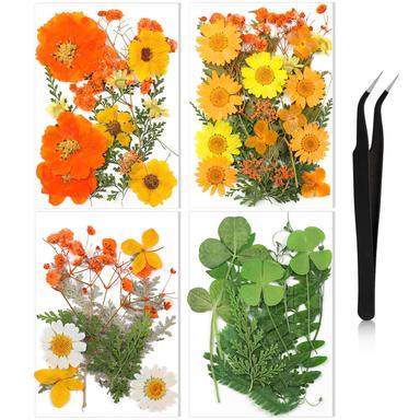 Nuanchu Dried Flower Kit for Crafts | Mubboo
