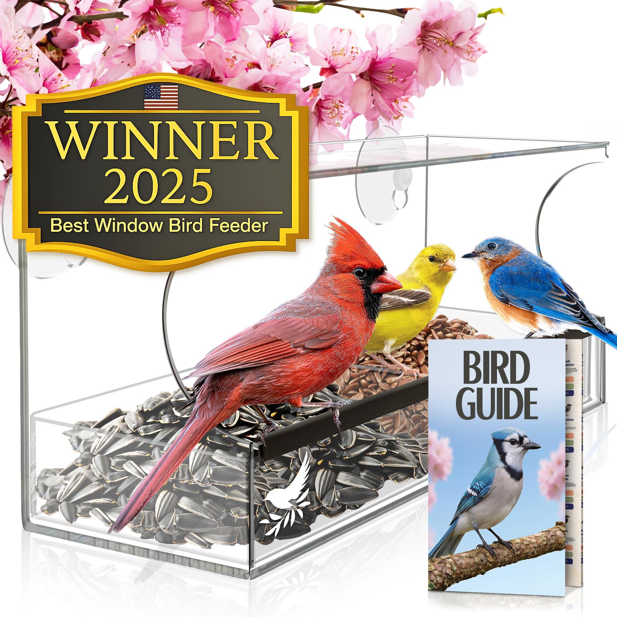 Clear acrylic window bird feeder with birds visiting