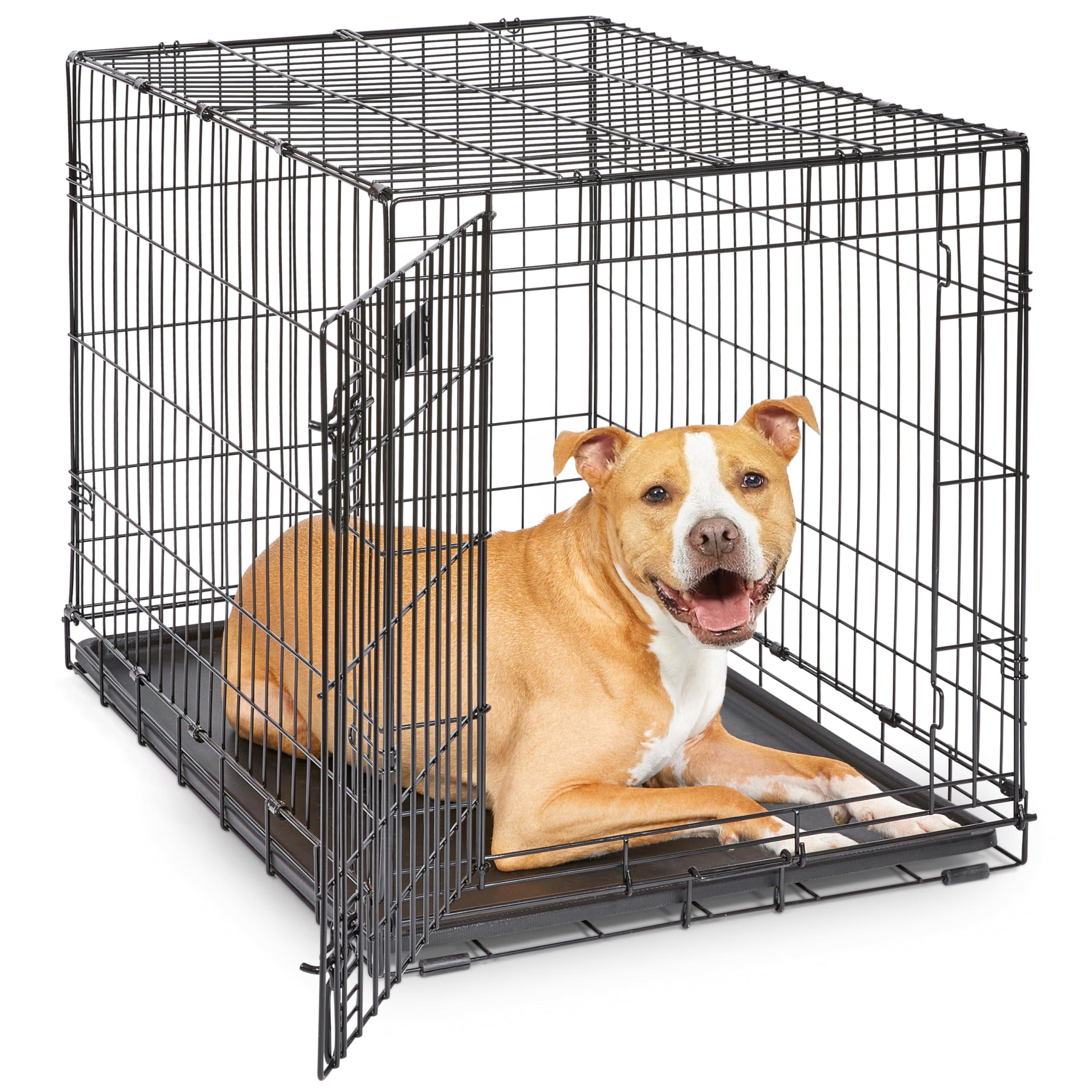 MidWest Homes for Pets 36-inch iCrate for medium to large dogs